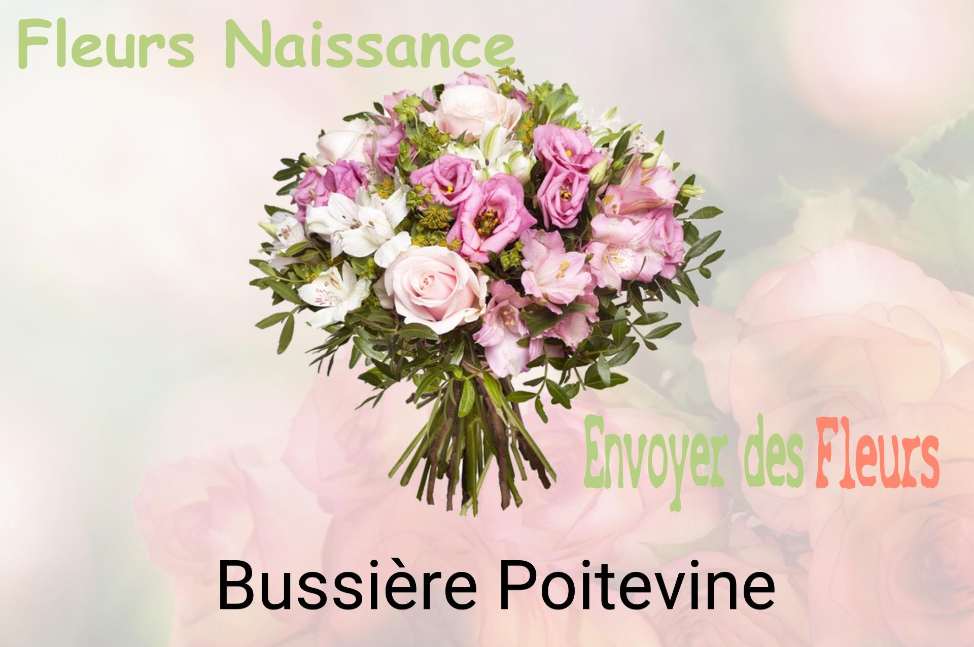 Bouquet de fleurs de naissance livré à Bussière-Poitevine