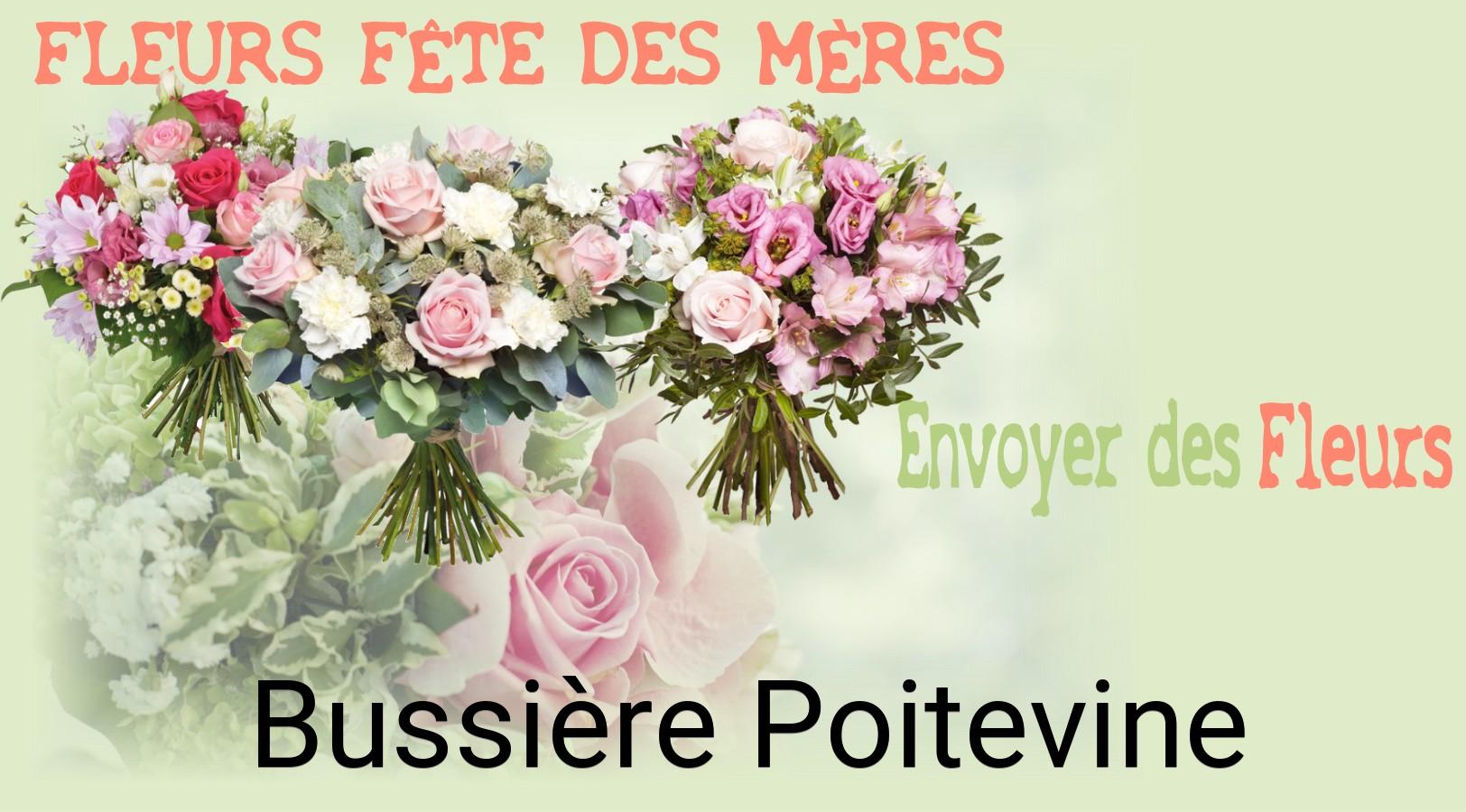 Bouquet de Fête des Mères livré à Bussière-Poitevine